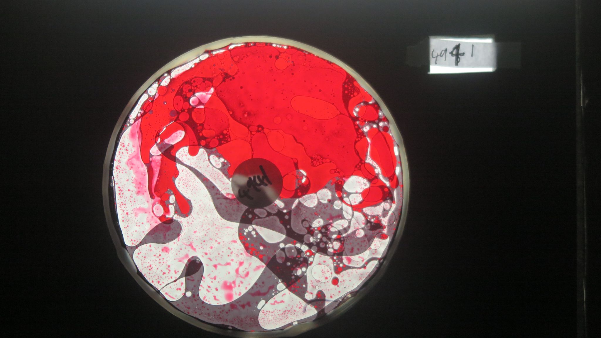 BV4941 bubble vision oil wheel
